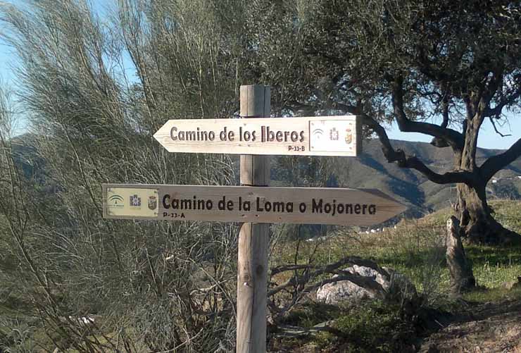 Cruce: Camino de Los Íberos - Camino de La Loma o Mojonera